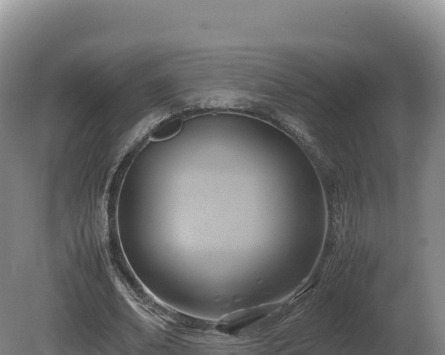 X0000081450678200701191714