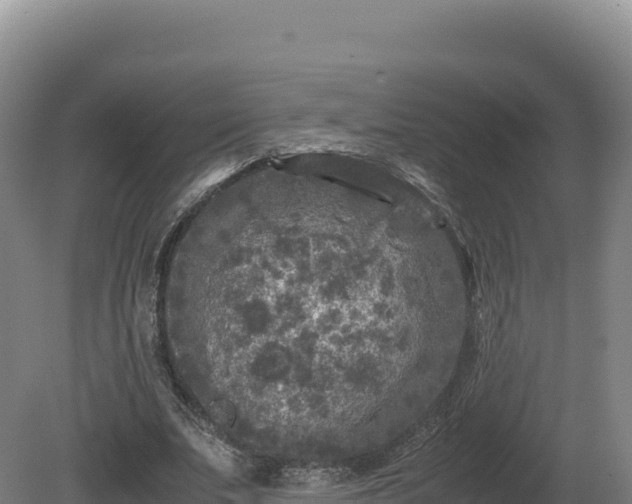 X0000081450679200701191714