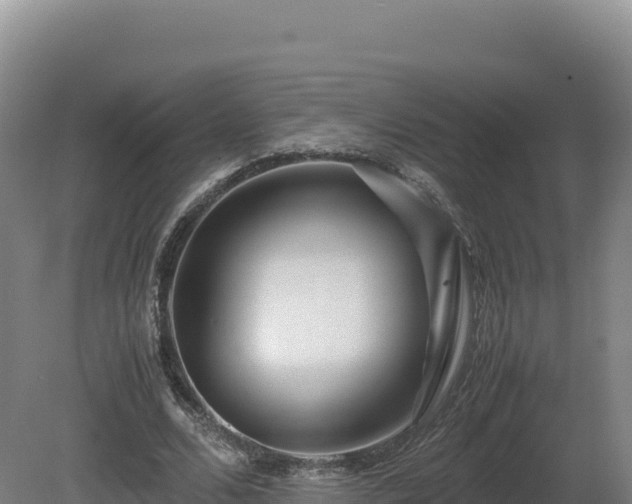 X0000081450680200701191714