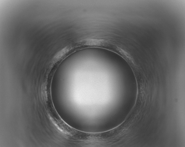 X0000081450682200701191714