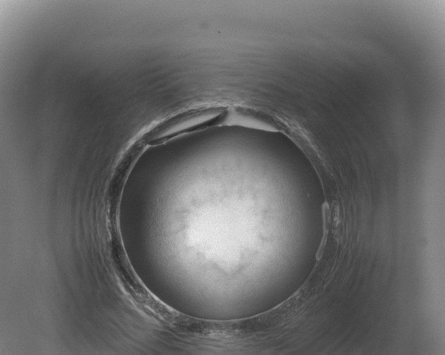 X0000081450684200701191714