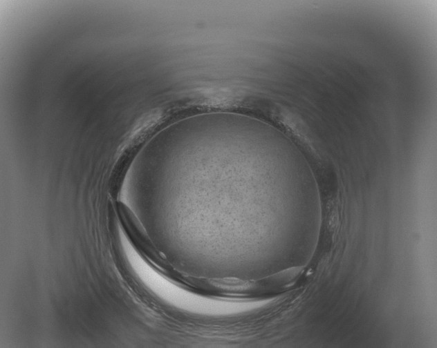 X0000081450685200701191714