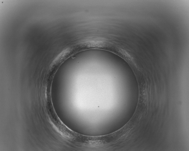 X0000081450686200701191714