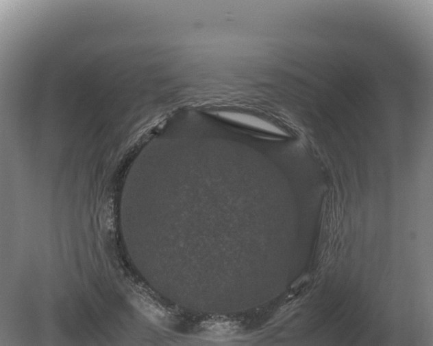 X0000081450689200701191714