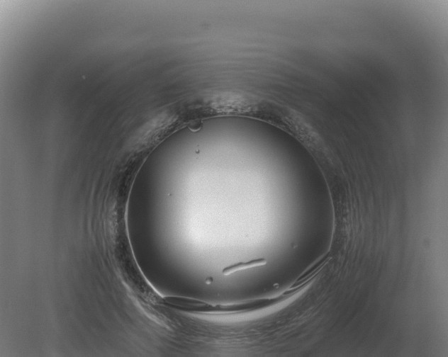 X0000081450690200701191714