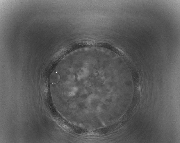 X0000081450691200701191714