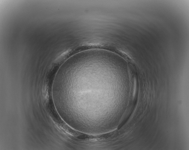 X0000081450692200701191714