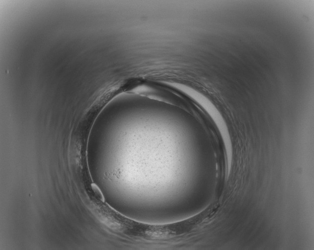 X0000081450693200701191714