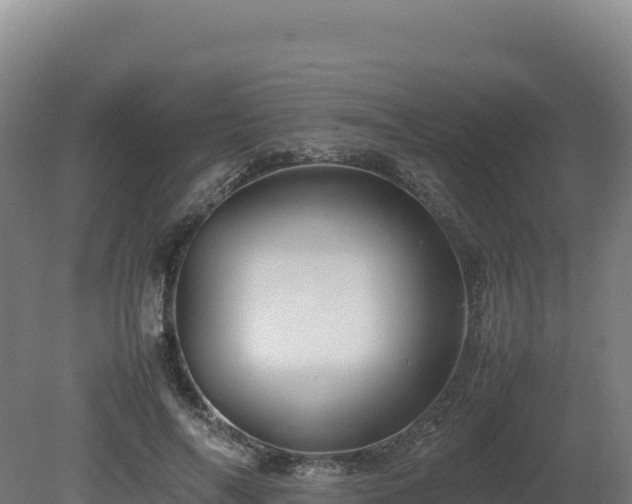 X0000081450694200701191714