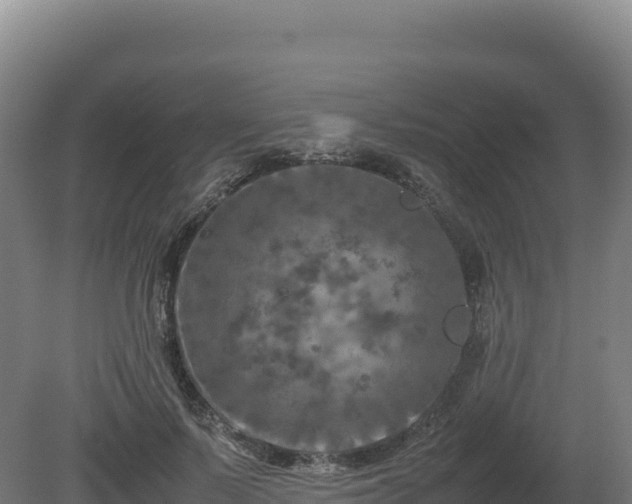 X0000081450695200701191714