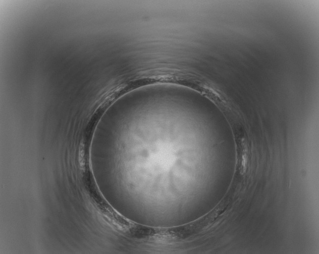 X0000081450696200701191714