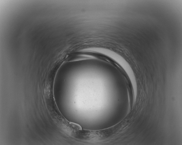 X0000081450697200701191714