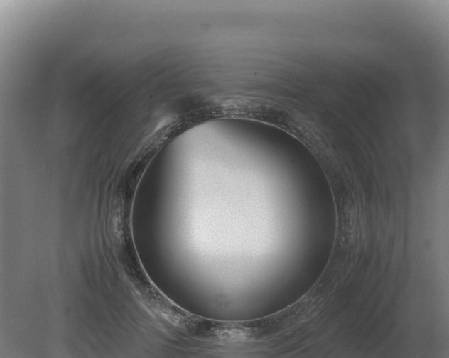 X0000081450698200701191714