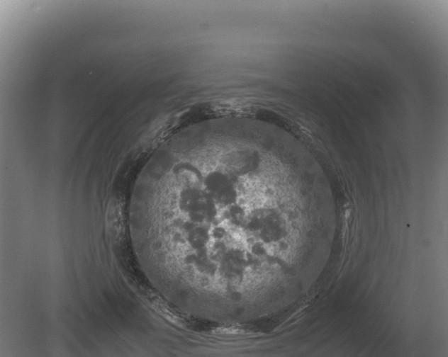 X0000081450699200701191714