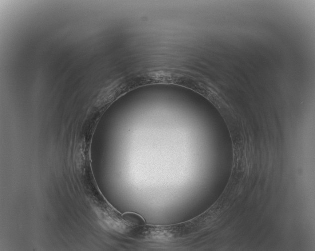 X0000081450702200701191714