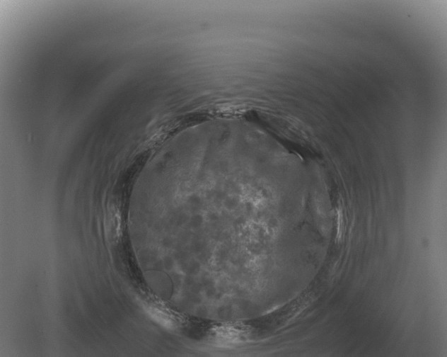 X0000081450703200701191714