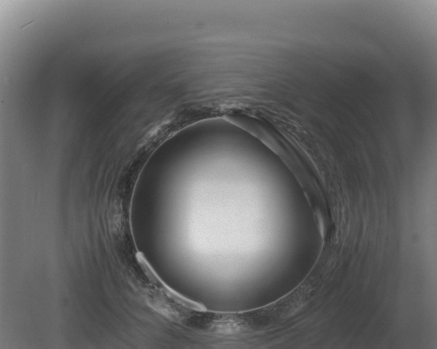 X0000081450704200701191714