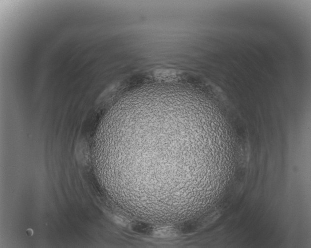 X0000081450705200701191714