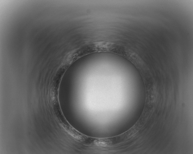 X0000081450706200701191714