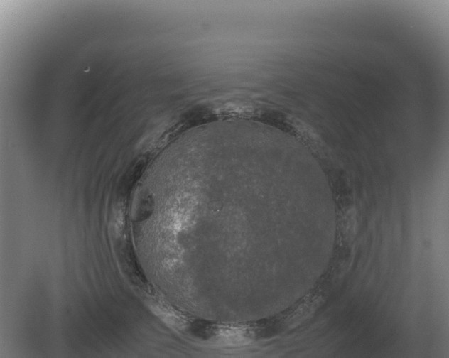 X0000081450709200701191714