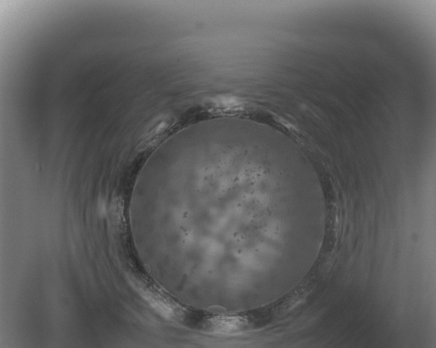 X0000081450711200701191714