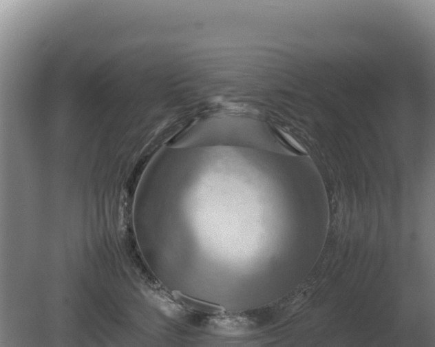 X0000081450712200701191714