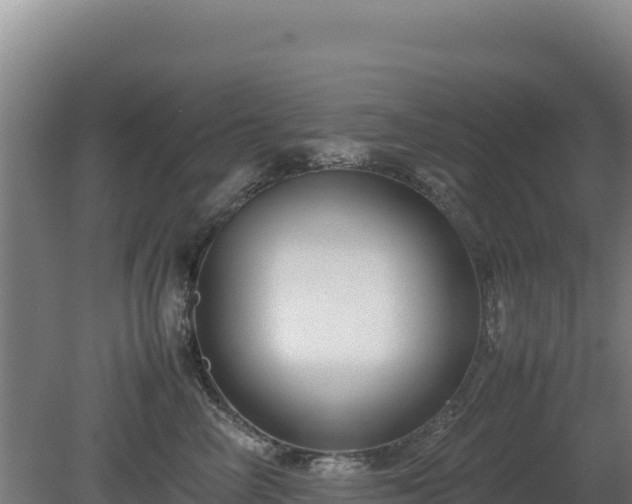 X0000081450714200701191714