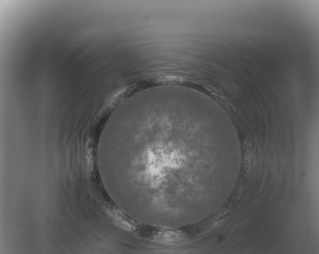 X0000081450716200701191714