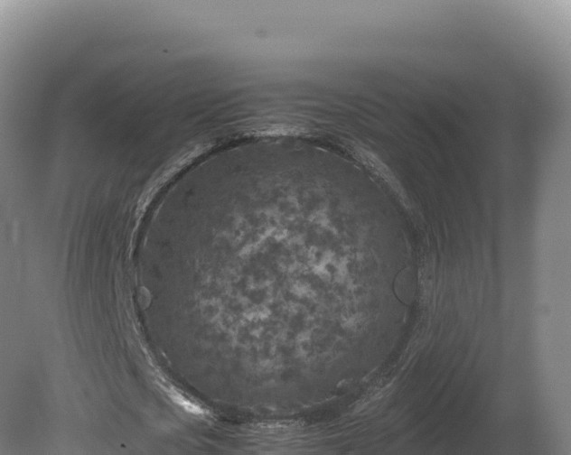 X0000081450721200701191713