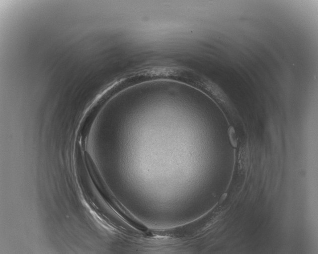 X0000081450722200701191713