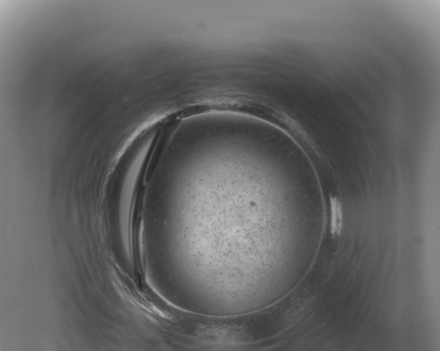 X0000081450723200701191713