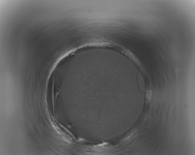 X0000081450724200701191713