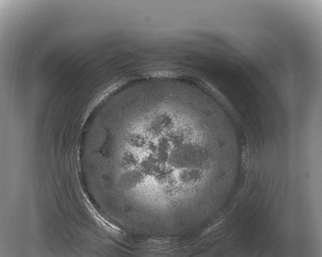 X0000081450725200701191713