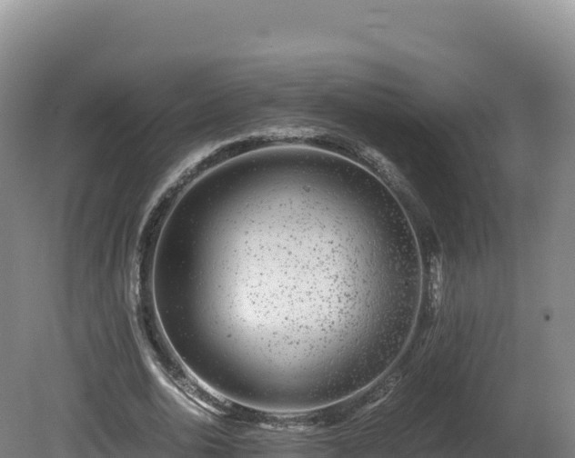 X0000081450726200701191713