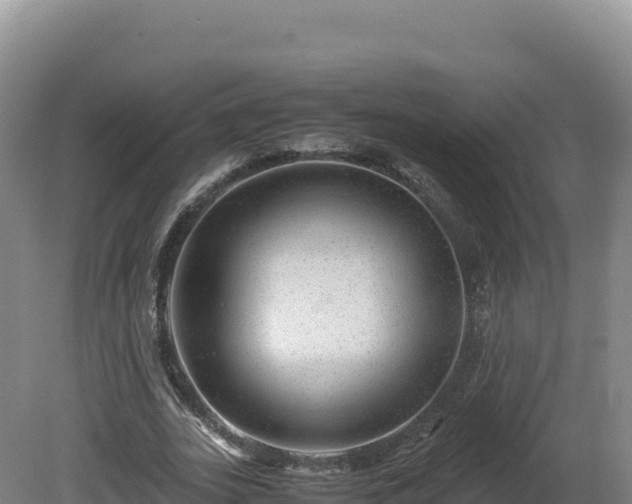 X0000081450727200701191713