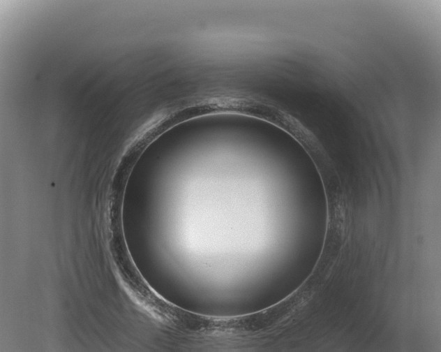 X0000081450730200701191713