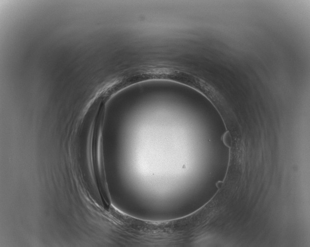 X0000081450731200701191713