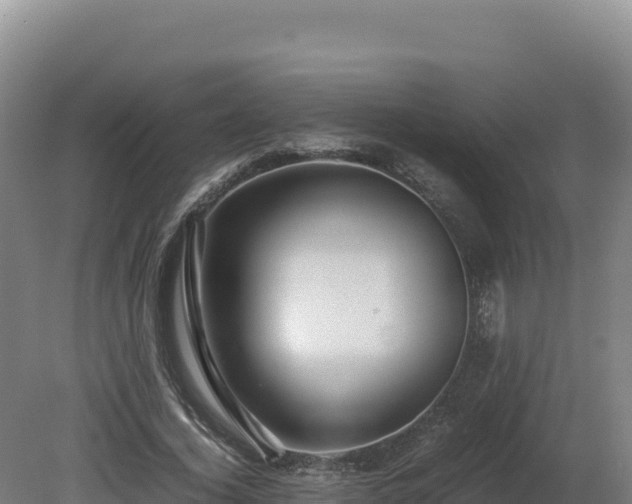 X0000081450732200701191713