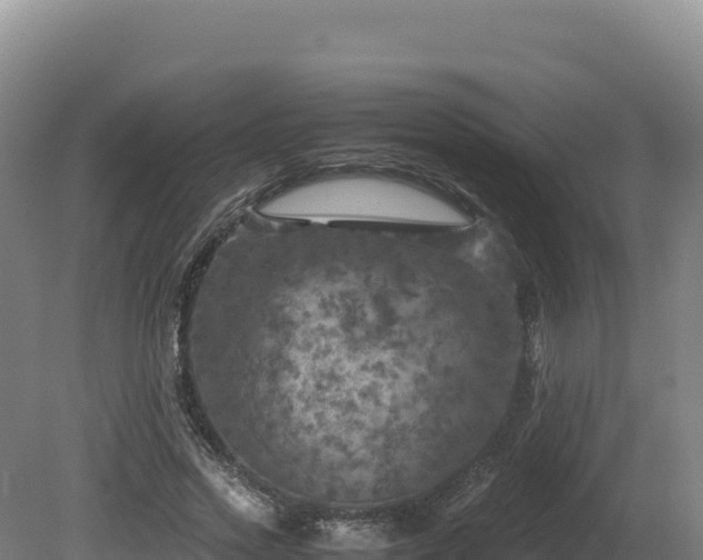 X0000081450733200701191713