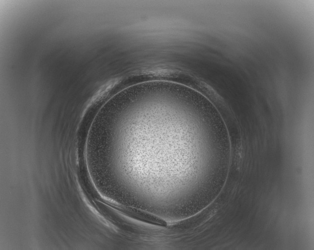 X0000081450734200701191713