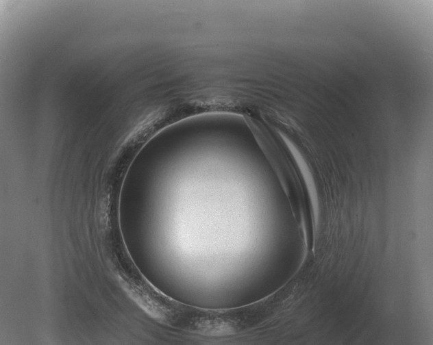 X0000081450735200701191713