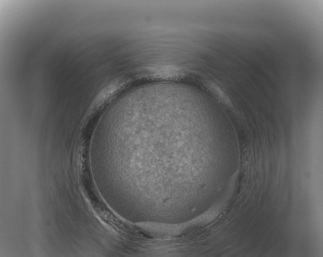 X0000081450736200701191713