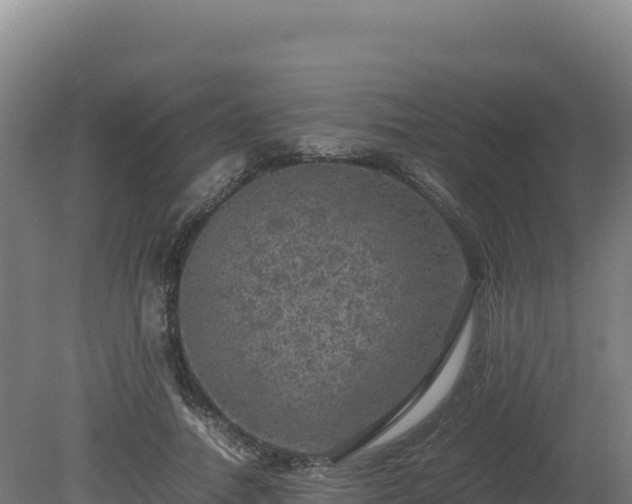 X0000081450738200701191713