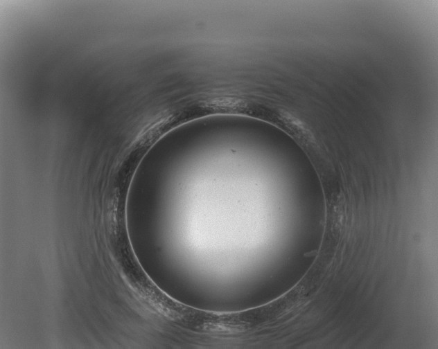 X0000081450739200701191713