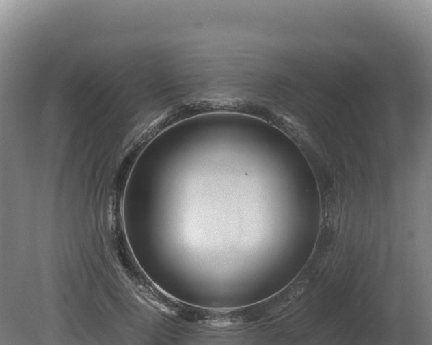 X0000081450740200701191713