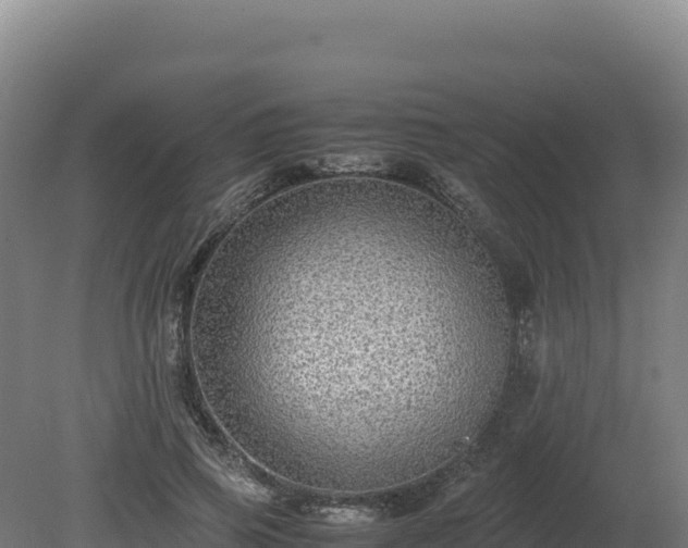 X0000081450741200701191713