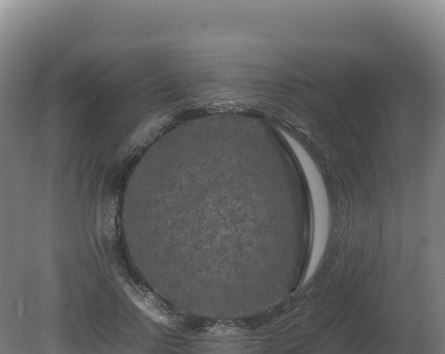 X0000081450742200701191713