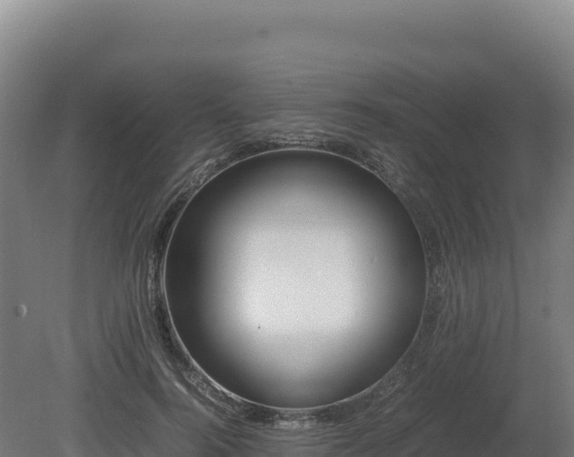 X0000081450744200701191713