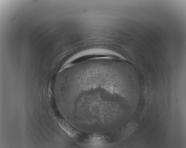 X0000081450746200701191713