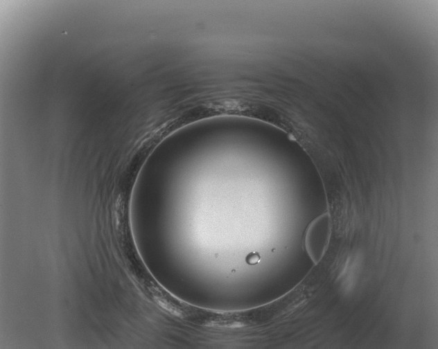 X0000081450747200701191713